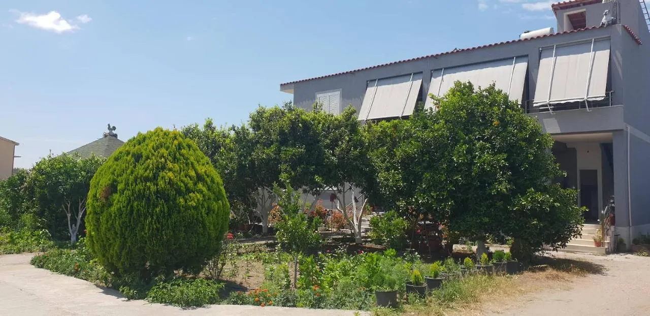 Guesthouse Anila Divjaka 0*,