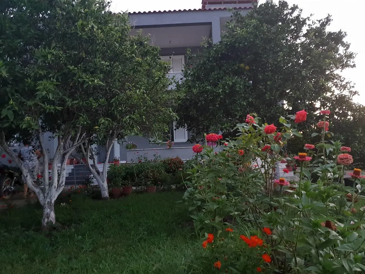 Guesthouse Anila Divjaka
