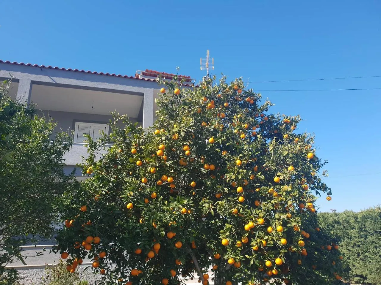 Gasthof Guesthouse Anila Divjaka