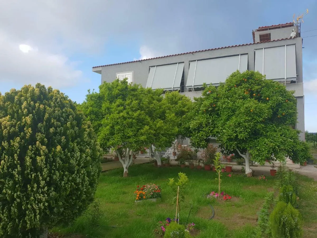 Guesthouse Anila Divjaka Gasthof
